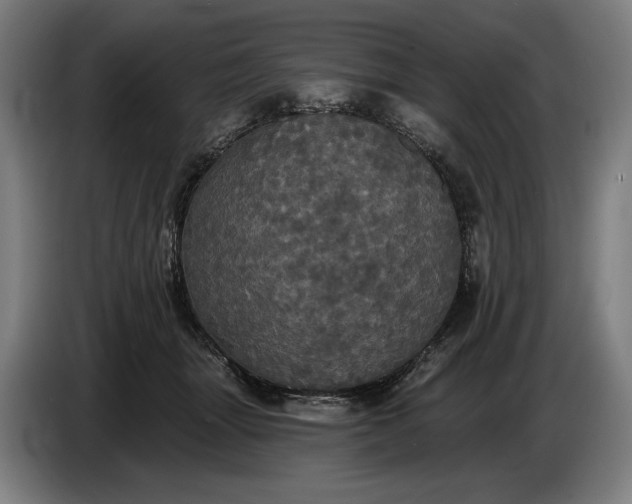 X0000087410463200705041251