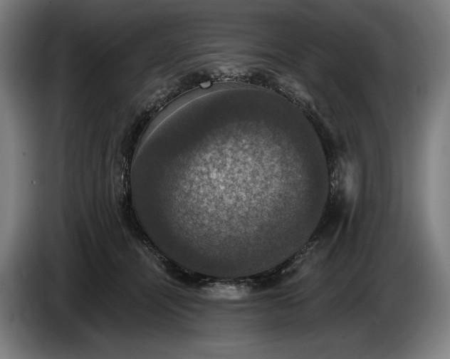 X0000087410464200705041251