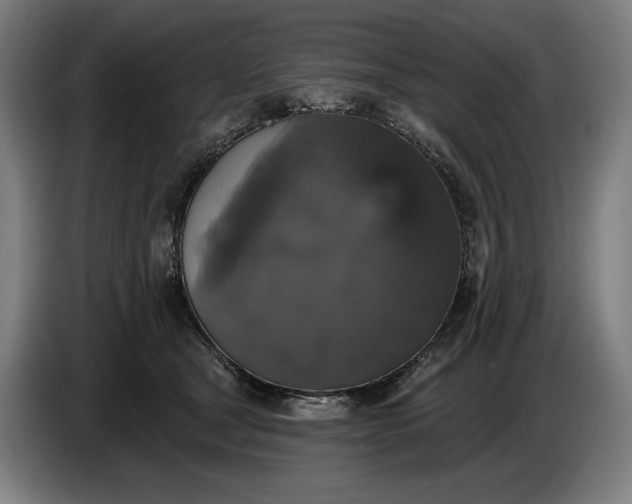 X0000087410465200705041251