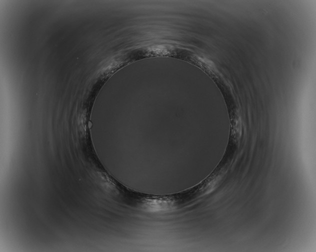 X0000087410466200705041251