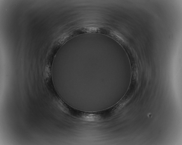 X0000087410467200705041251