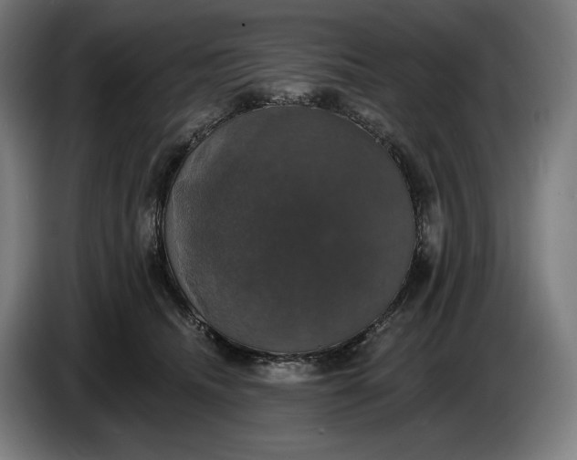 X0000087410468200705041251