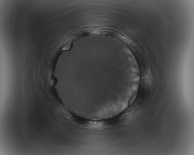 X0000087410469200705041251