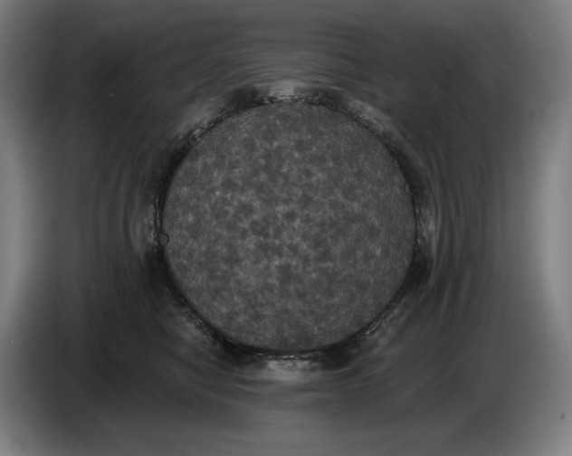 X0000087410470200705041251