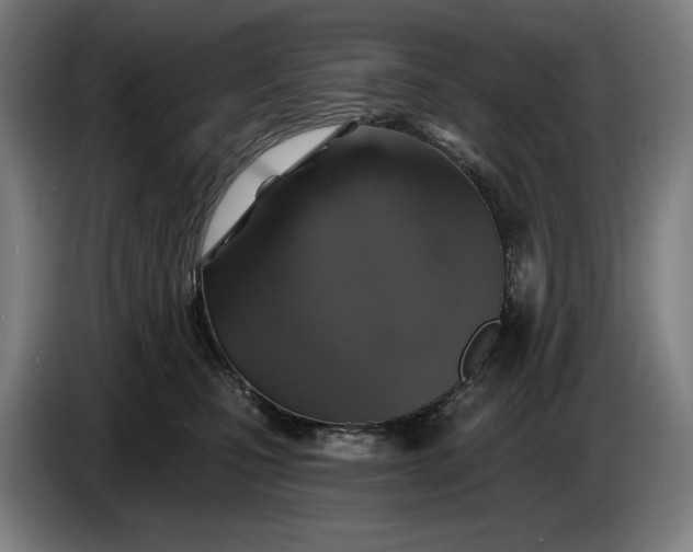 X0000087410471200705041251