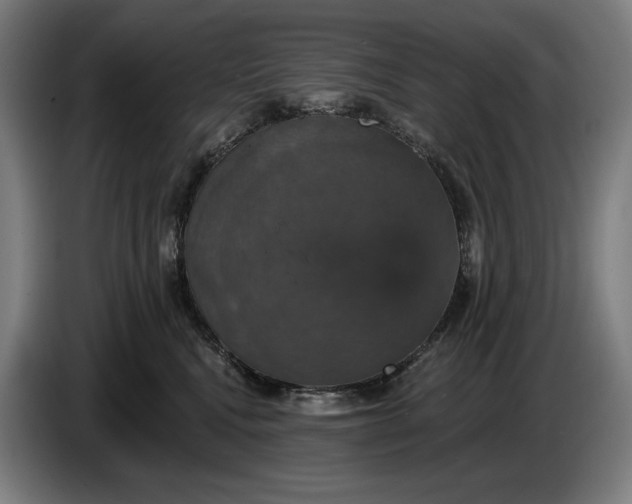 X0000087410472200705041251