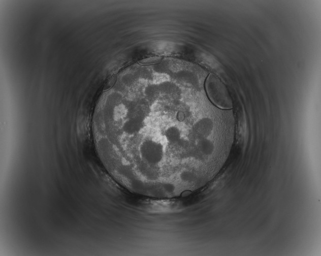 X0000087410473200705041251