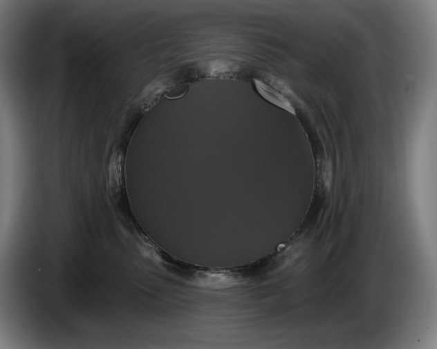 X0000087410475200705041251