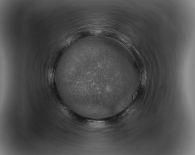 X0000087410476200705041251