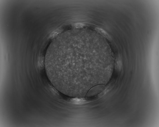 X0000087410477200705041251