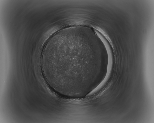 X0000087410481200705041251