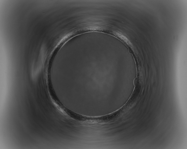 X0000087410482200705041251