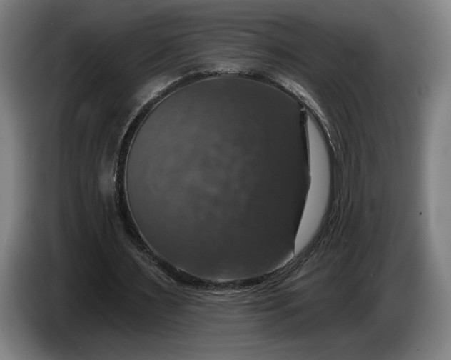 X0000087410483200705041251