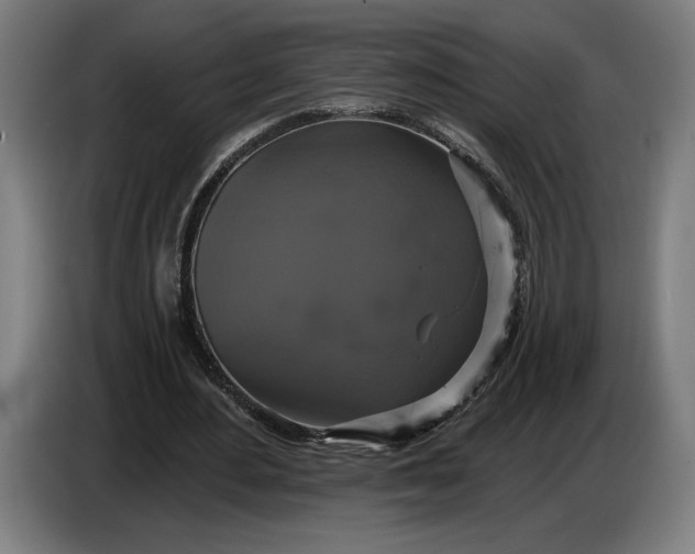 X0000087410484200705041251