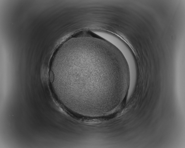 X0000087410485200705041251