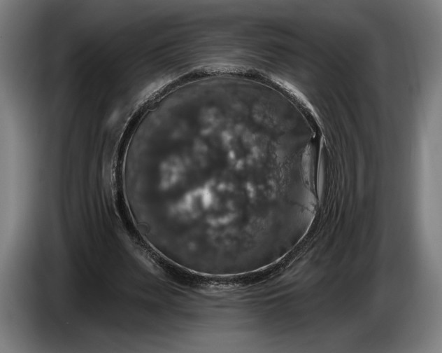 X0000087410487200705041251