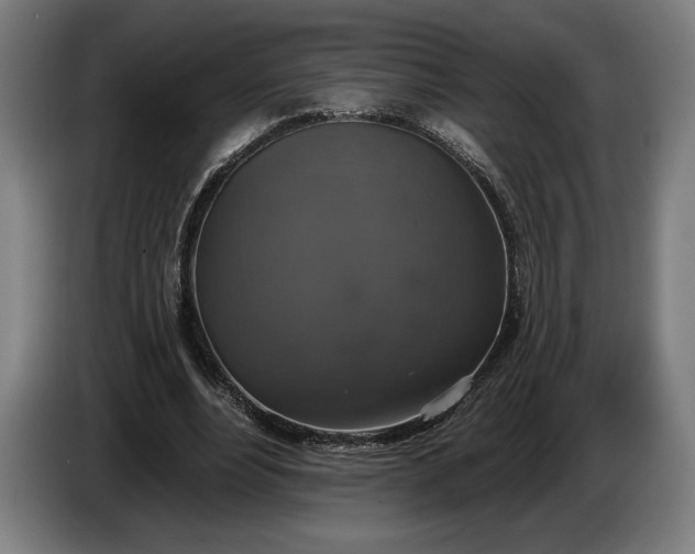 X0000087410488200705041251