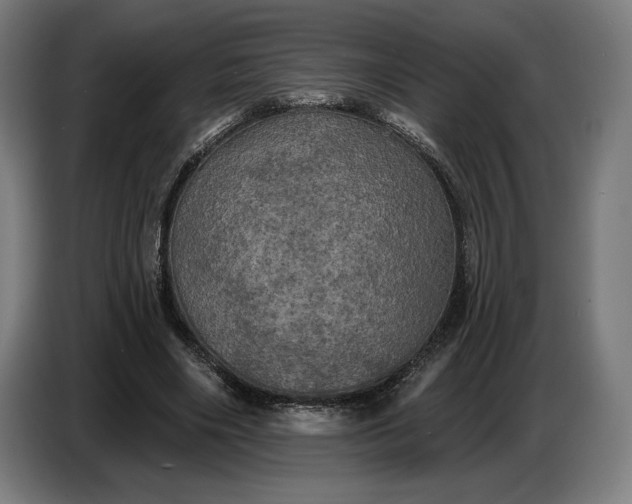 X0000087410490200705041251