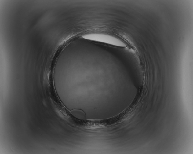 X0000087410491200705041251