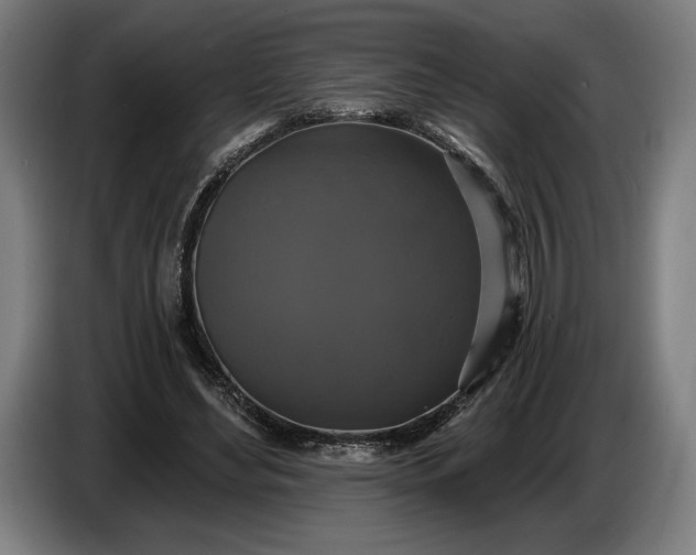 X0000087410492200705041251