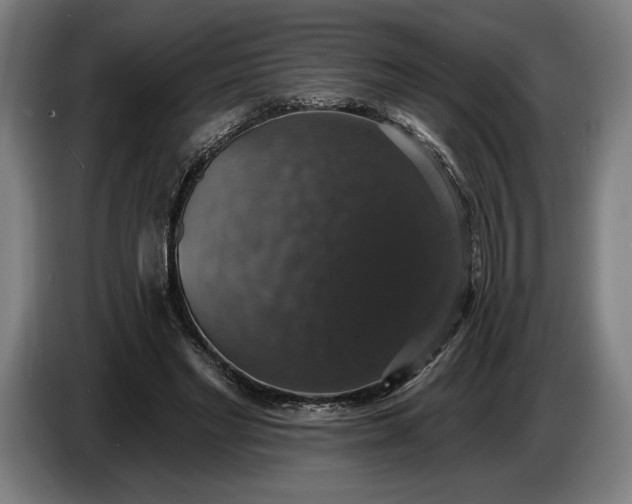 X0000087410493200705041251