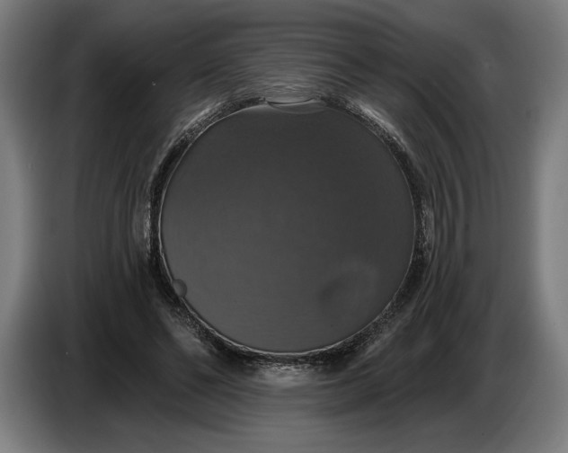 X0000087410494200705041251