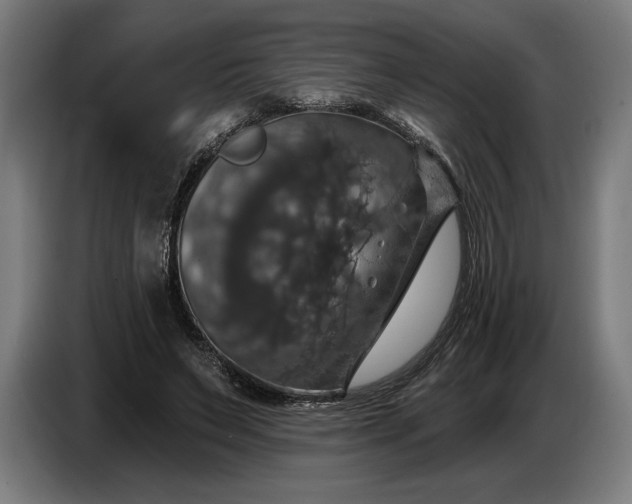 X0000087410495200705041251