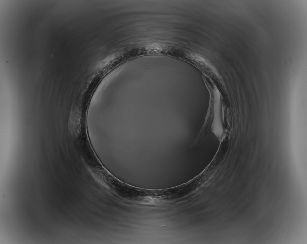 X0000087410496200705041251