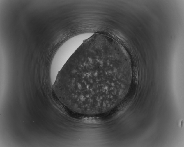 X0000087410499200705041251