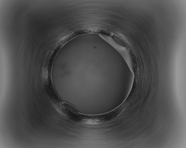 X0000087410500200705041251