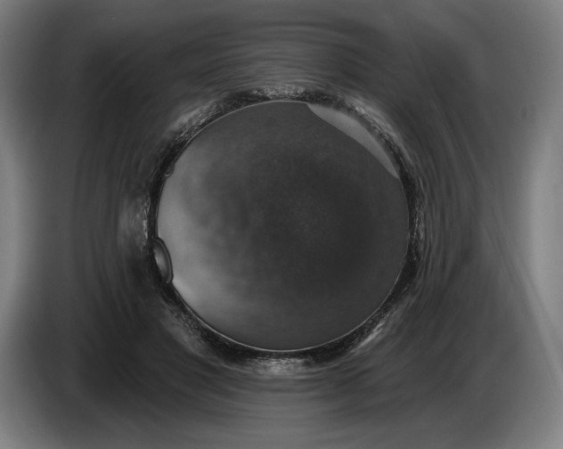 X0000087410501200705041251