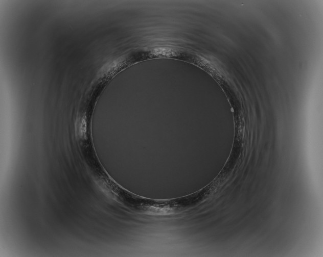 X0000087410502200705041250