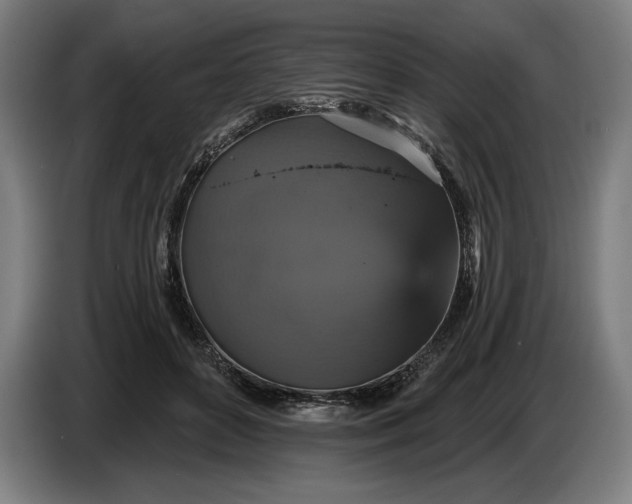 X0000087410504200705041250