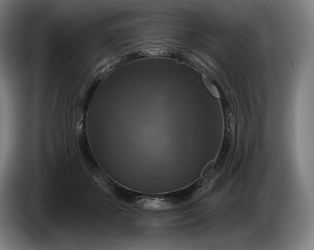 X0000087410507200705041250