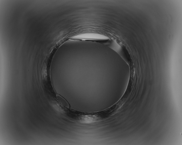 X0000087410508200705041250