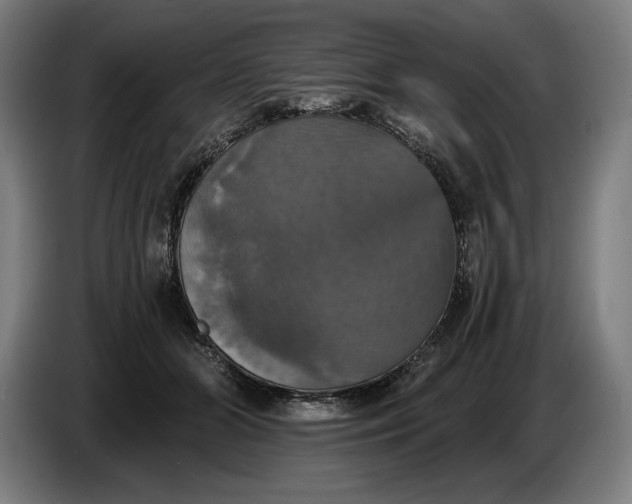 X0000087410510200705041250