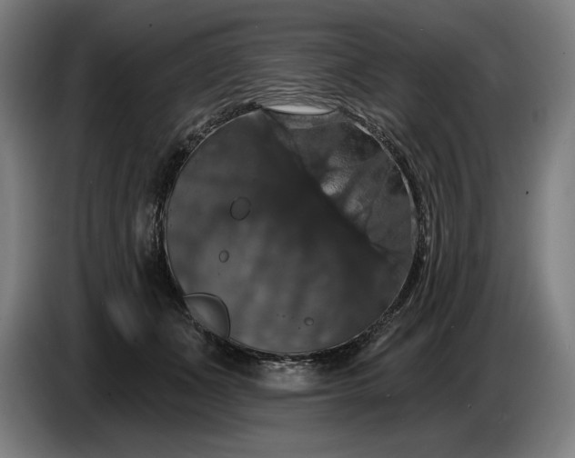 X0000087410511200705041250