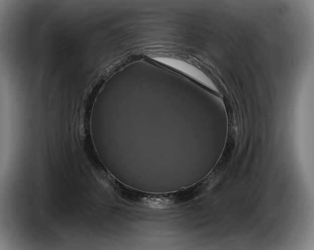 X0000087410512200705041250