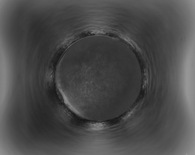 X0000087410513200705041250