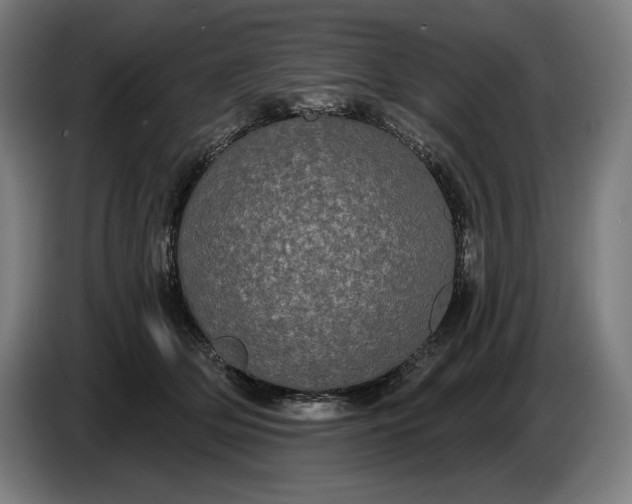 X0000087410514200705041250