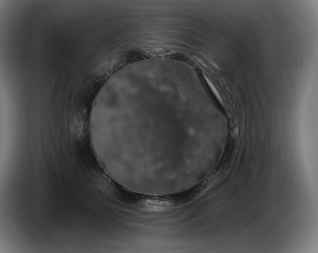 X0000087410515200705041250