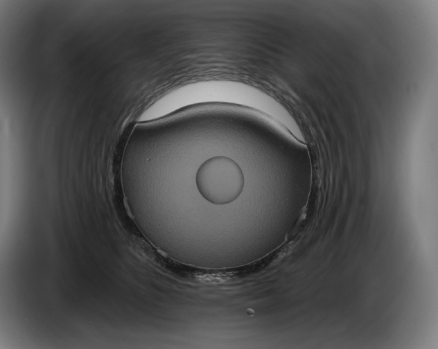 X0000087410516200705041250