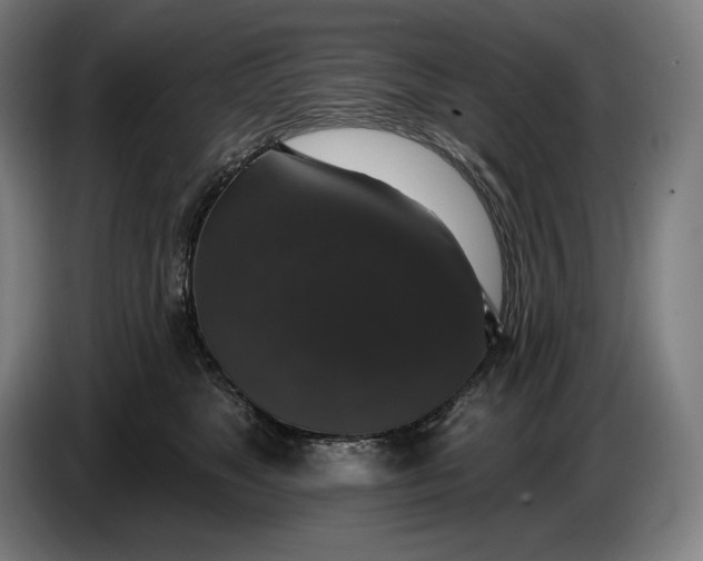 X0000087410517200705041250