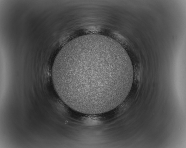 X0000087410518200705041250