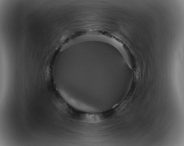 X0000087410520200705041250