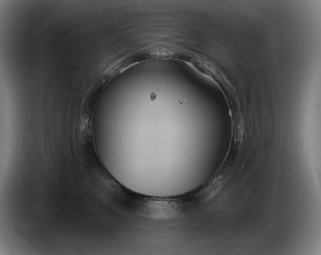 X0000087410521200705041250