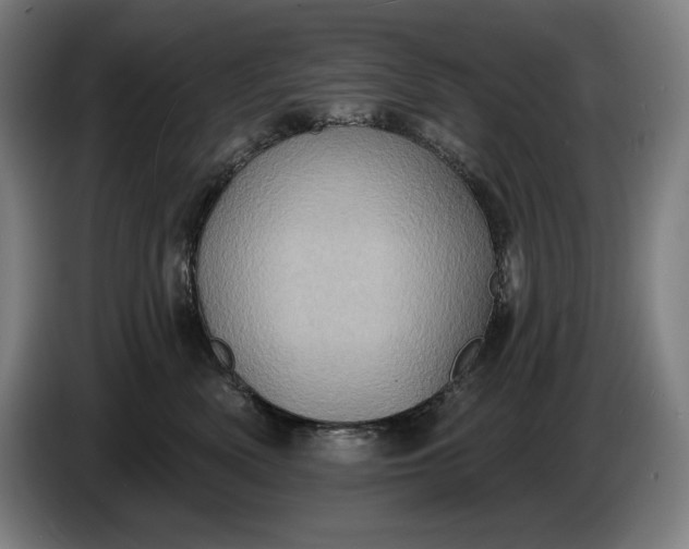 X0000087410522200705041250