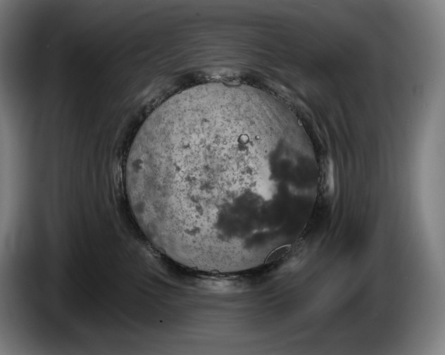 X0000087410523200705041250