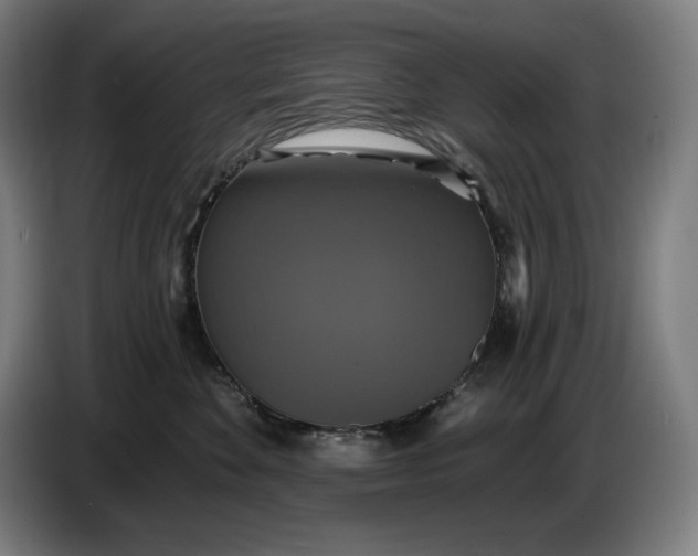 X0000087410524200705041250