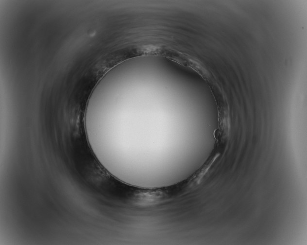 X0000087410525200705041250